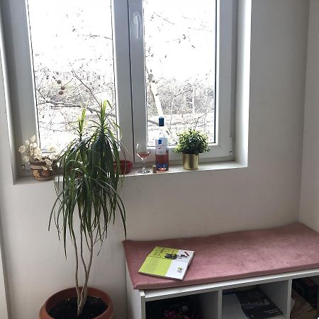Studio 50 With Terrace Belgrad Dış mekan fotoğraf