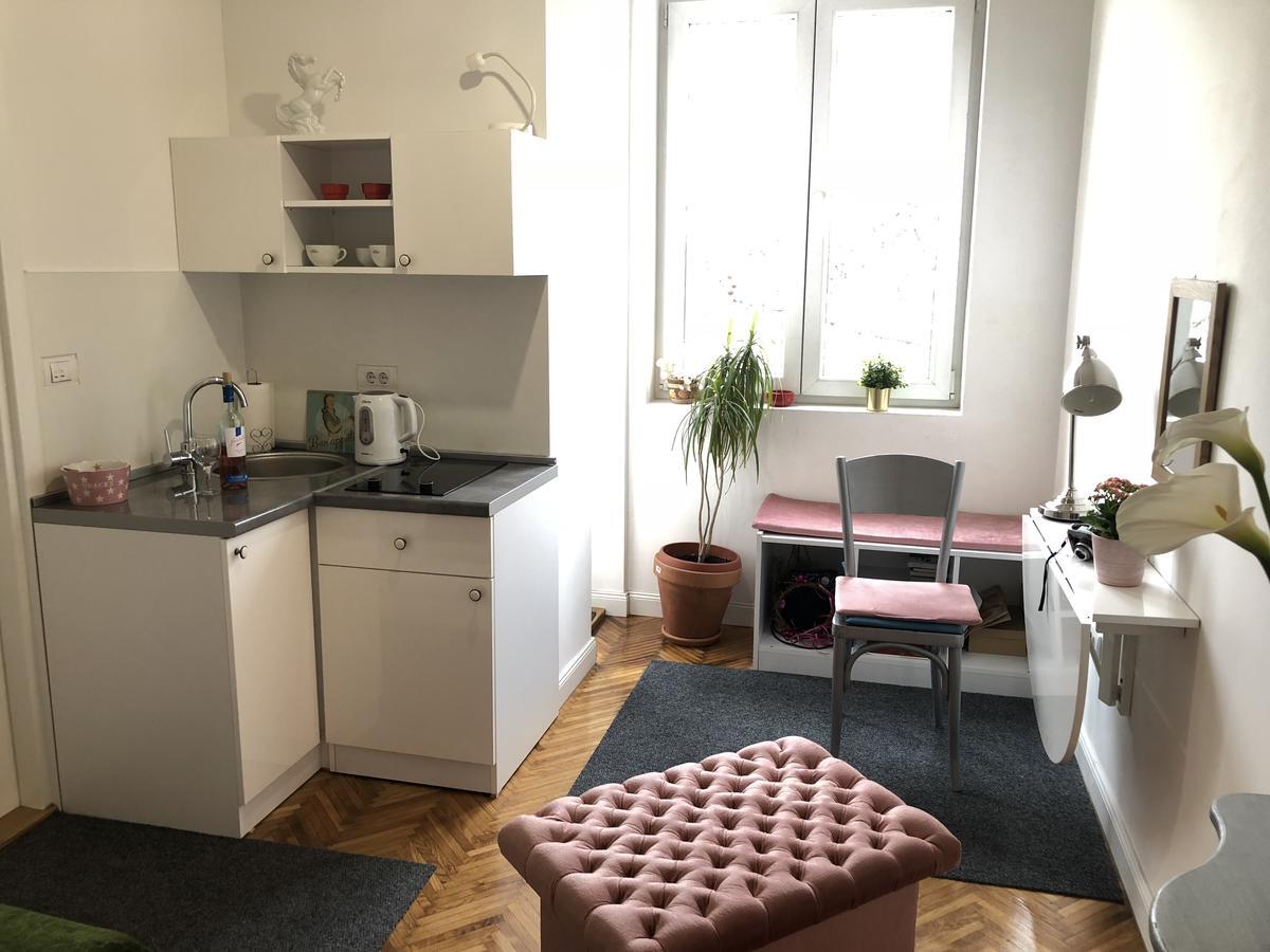 Studio 50 With Terrace Belgrad Dış mekan fotoğraf